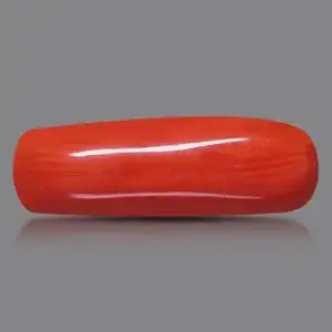 Red Coral (Moonga Stone)