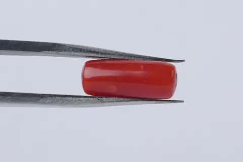 mangal - 3.86 cart - Image 4