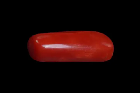 Red Coral (Moonga Stone) - Image 5