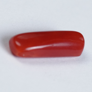 Red Coral (Moonga Stone)
