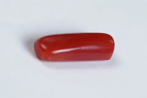 Red Coral (Moonga Stone)