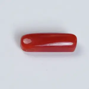 Red Coral (Moonga Stone)