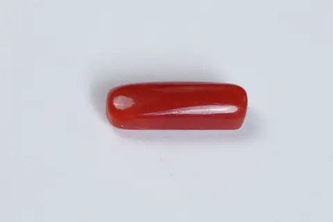 Red Coral (Moonga Stone)