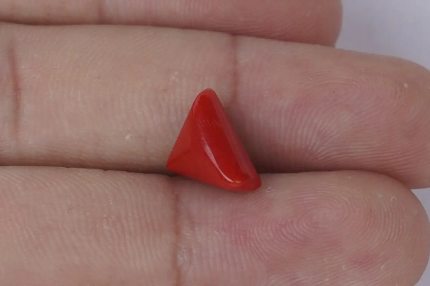 Red Coral (Moonga Stone)- 3.19 carats - Image 3