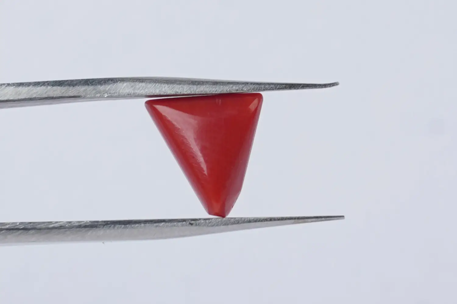 Red Coral (Moonga Stone)- 3.19 carats - Image 4