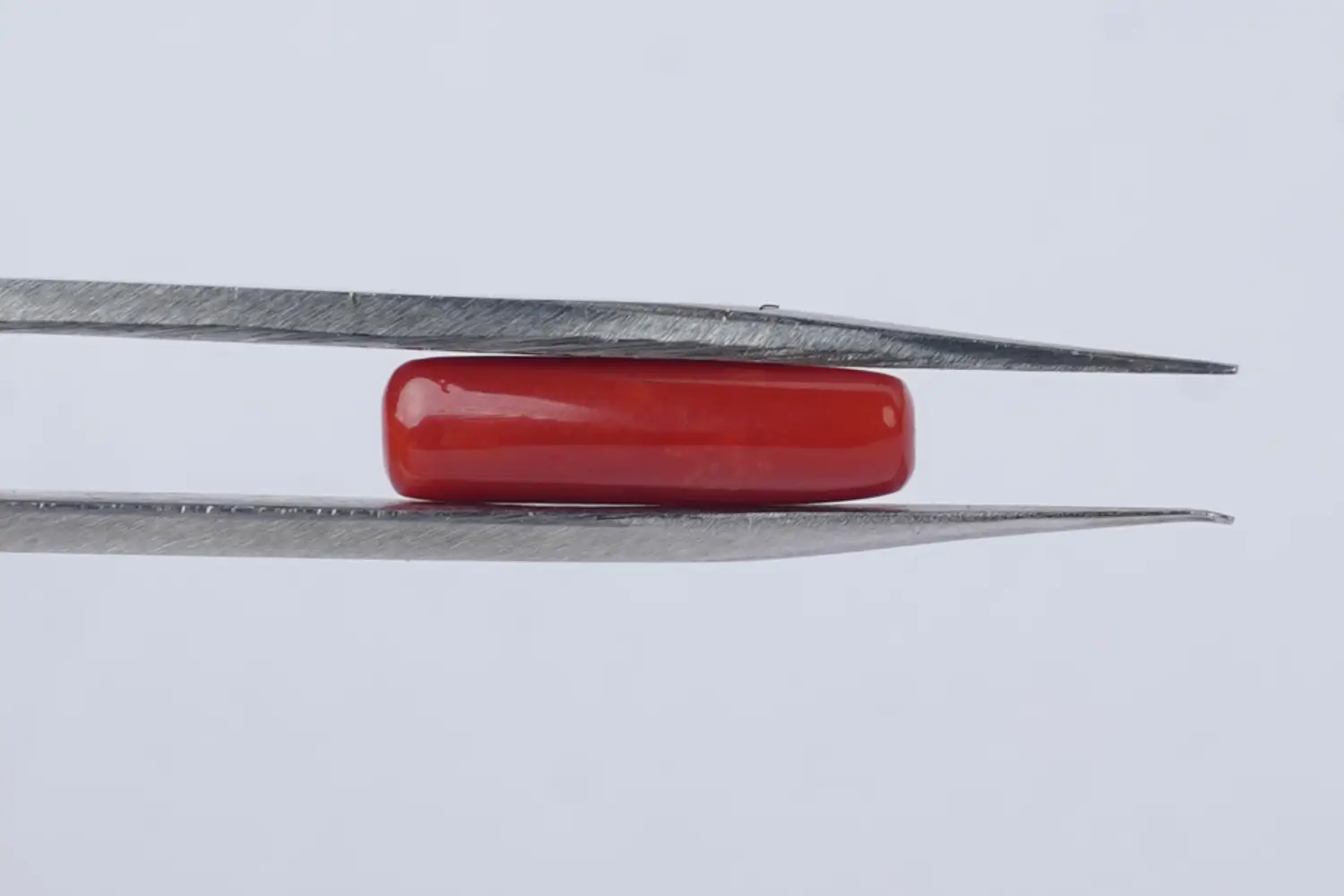 Red Coral (Moonga Stone)-3.85 carats - Image 3