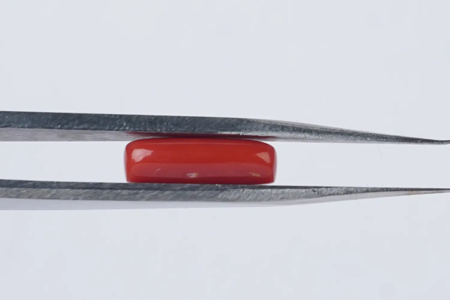 Red Coral (Moonga Stone)- 3.29 carats - Image 3