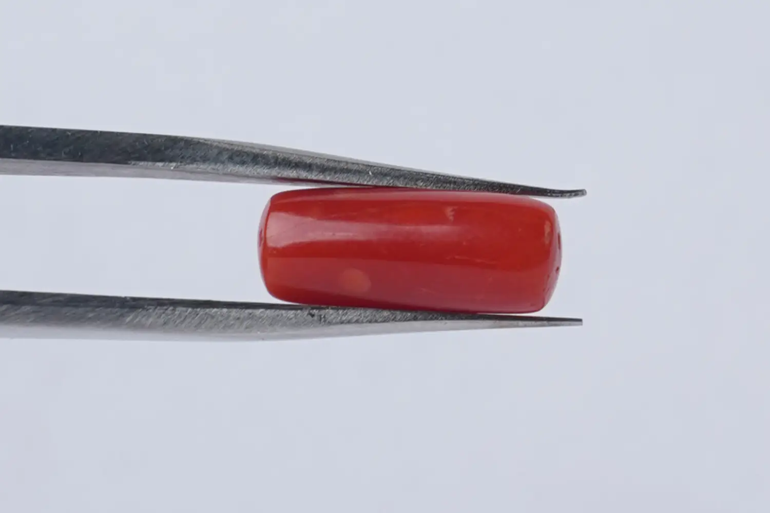 Red Coral (Moonga Stone)-3.86 carats - Image 5