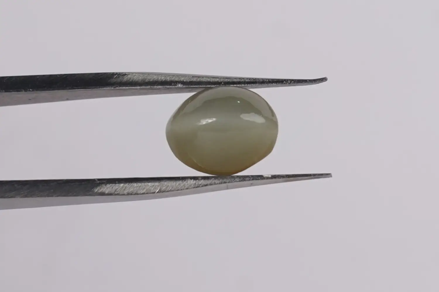 Cat’s Eye (Lahsuniya Stone) – 3.88 carats - Image 3