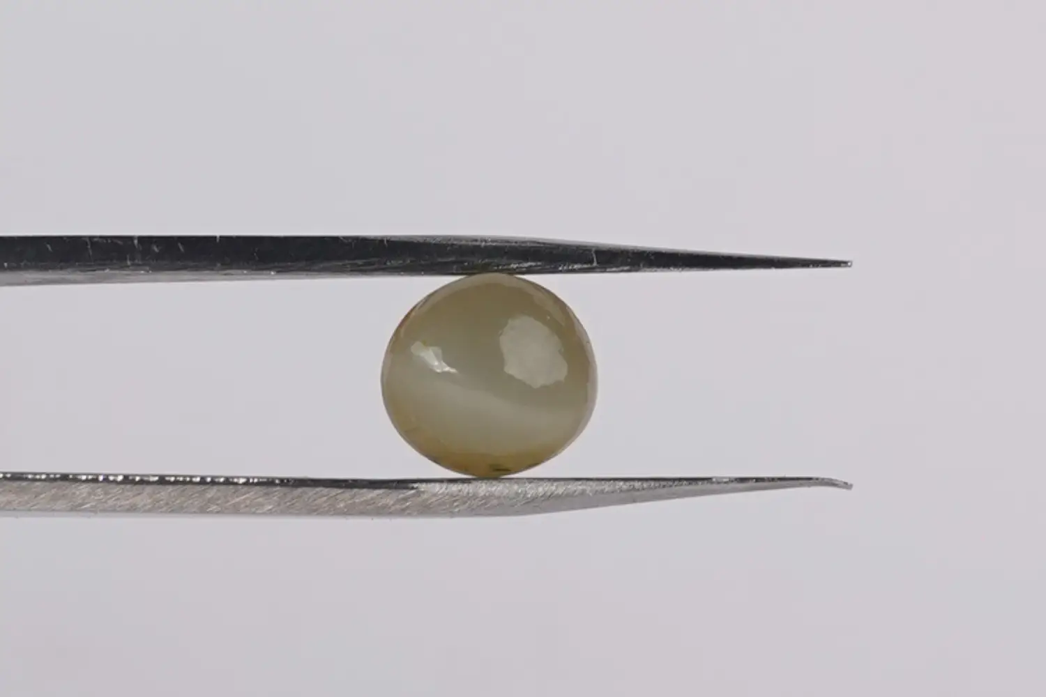 Cat’s Eye (Lahsuniya Stone) - 4. 05 carats - Image 3