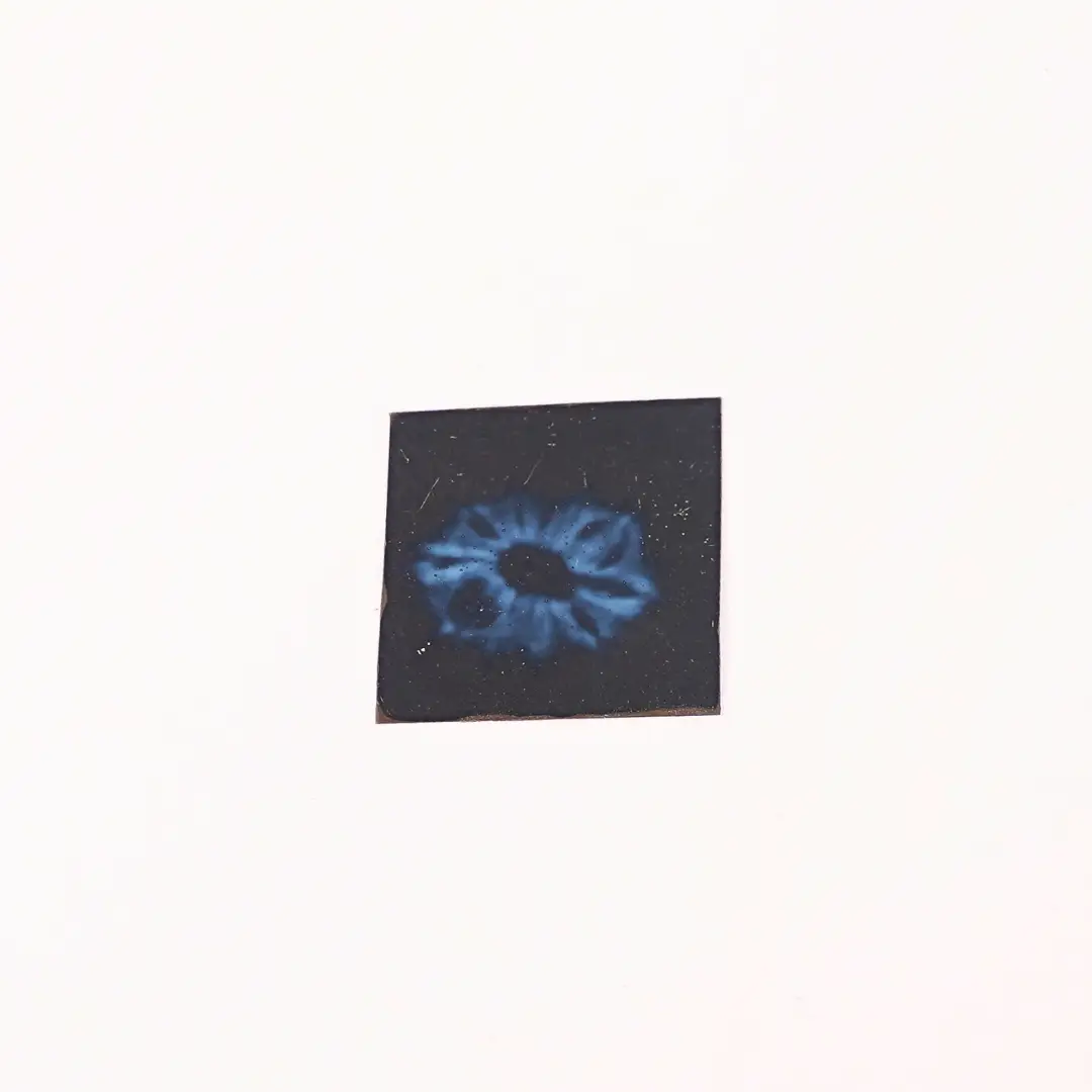 12 Mukhi Rudraksha (Original) – Surya Dev ka Tej-Ashirwad - Image 3