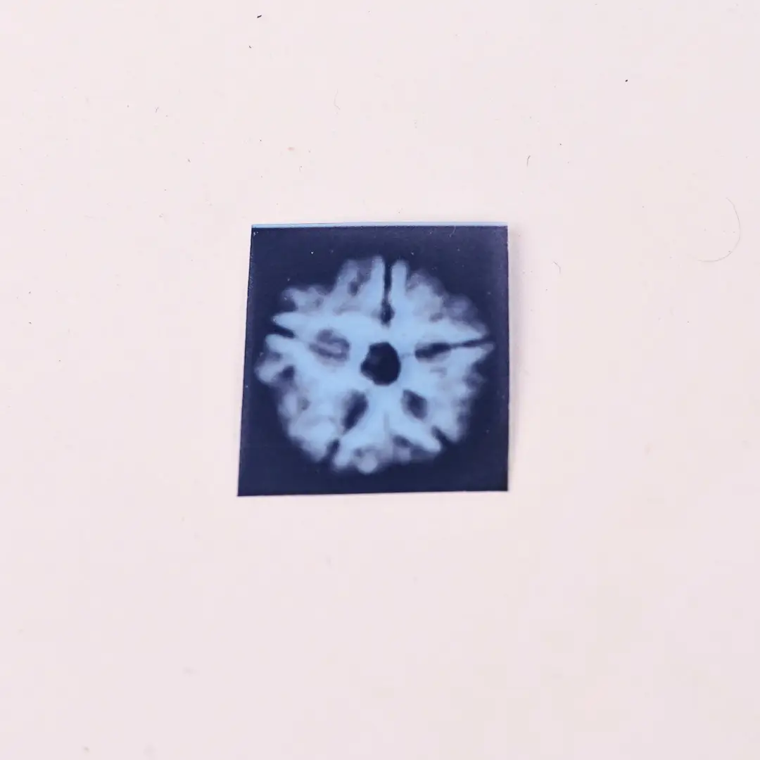 5 Mukhi Natural Rudraksha - Image 2