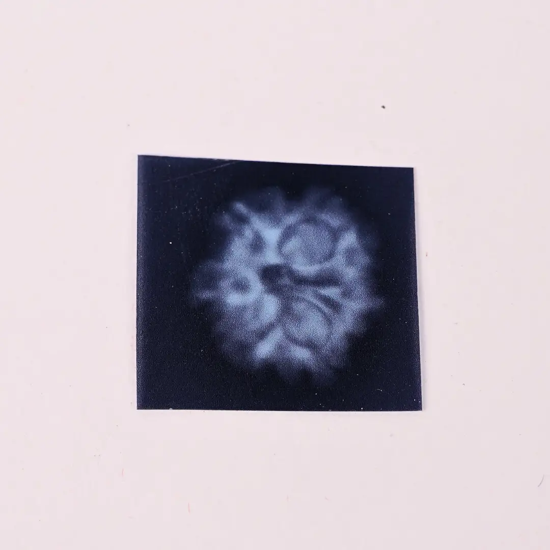 6 Mukhi Natural Rudraksha - Image 3