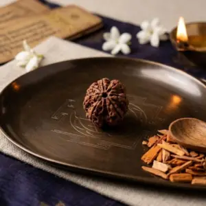 7 MUKHI RUDRAKSH (सात मुखी रुद्राक्ष)
